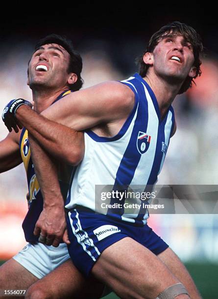 Ryan Turnbull of West Coast contests ruck with Corey Mckernan of North Melbourne during the Semi Final of the AFL season between North Melbourne and...