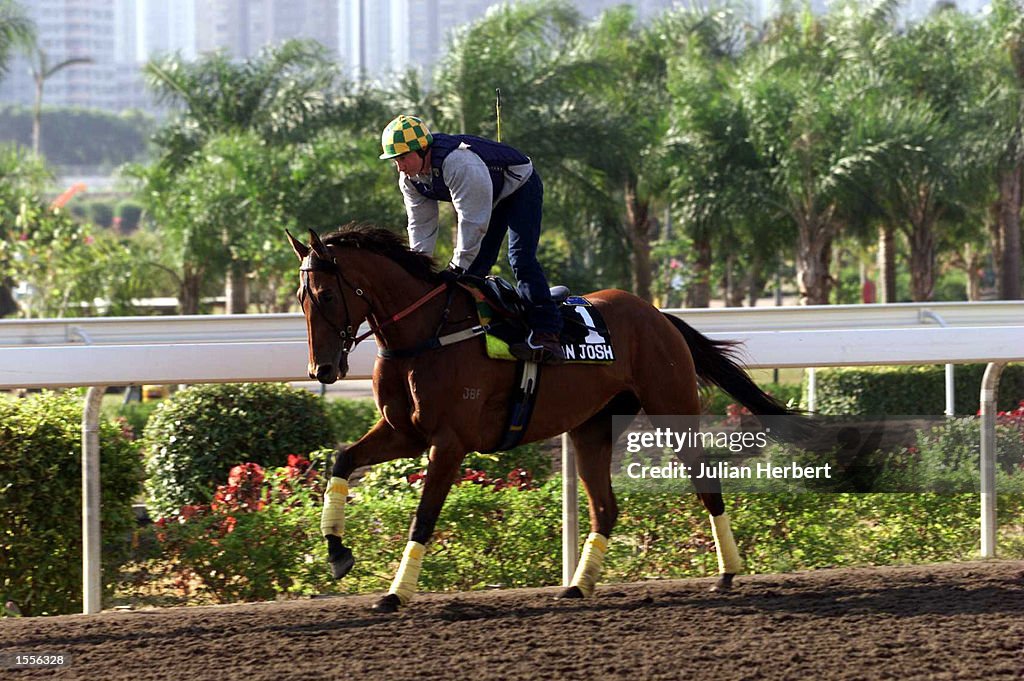Sha Tin Gallop X