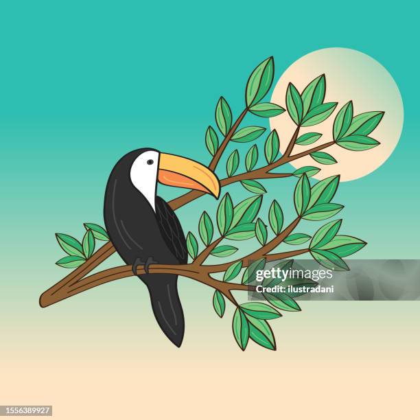 toucan on tree branch - toucan stock illustrations