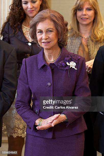 Queen Sofia of Spain attends the "Reina Sofia Awards" combatting drug addiction at the Zarzuela Palace on November 6, 2012 in Madrid, Spain.