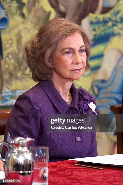 Queen Sofia of Spain attends the "Reina Sofia Awards" combatting drug addiction at the Zarzuela Palace on November 6, 2012 in Madrid, Spain.