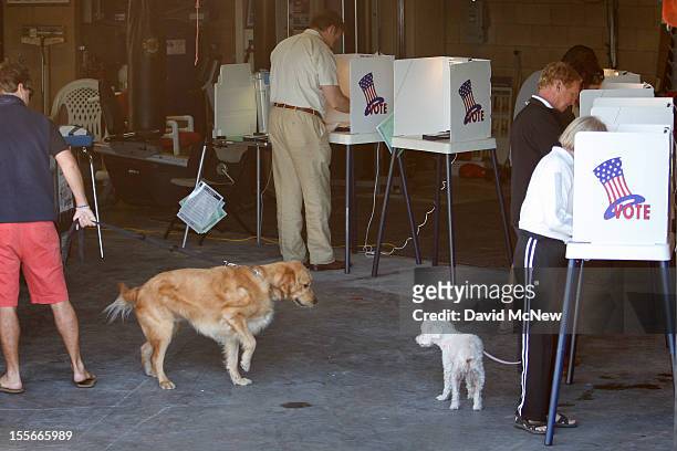 Dogs take notice of one another as people vote at a polling place in a Lifeguard Station during the U.S. Presidential election on November 6, 2012 in...