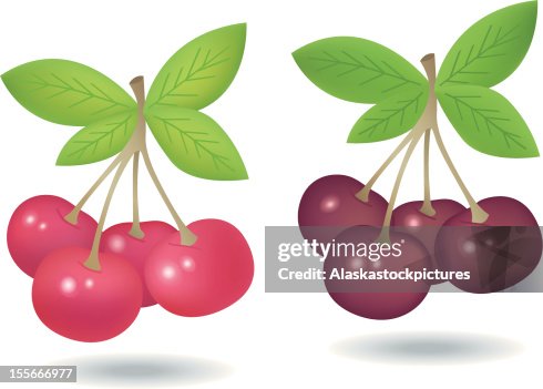 Cherries! Cherries!
