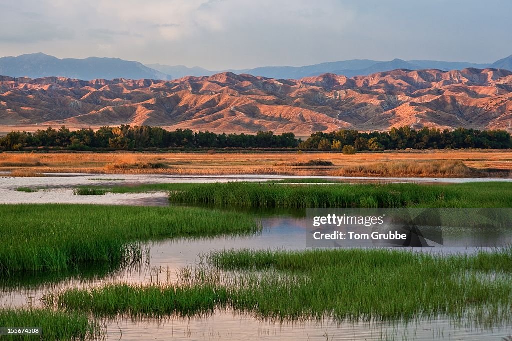 Grass and Badlands