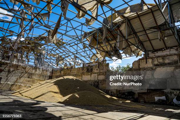 Granary lies in ruins after the shelling of Russian troops in Partyzanske village which was destroyed by Russian occupiers, Mykolaiv Region, southern...