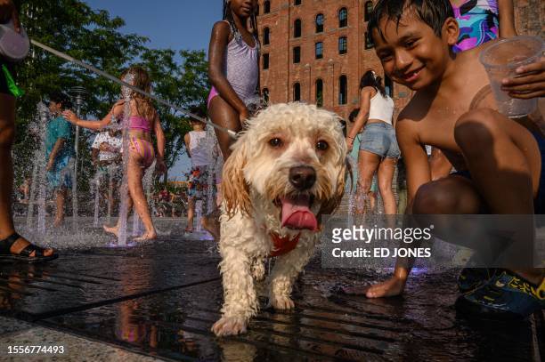 Children play with a dog in a water fountain on July 26, 2023 in New York during a heat wave.