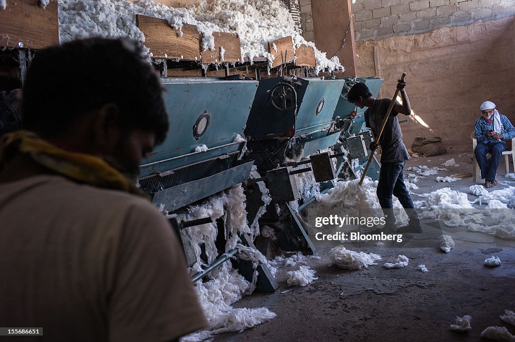 Images Of The Cotton Harvest