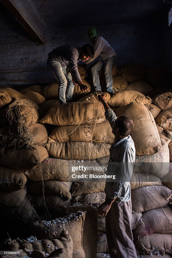 Images Of The Cotton Harvest