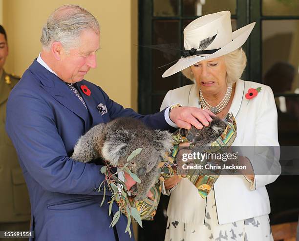 Prince Charles, Prince of Wales holds a koala called Kao whilst Camilla, Duchess of Cornwall holds a koala called Matilda at Government House on...