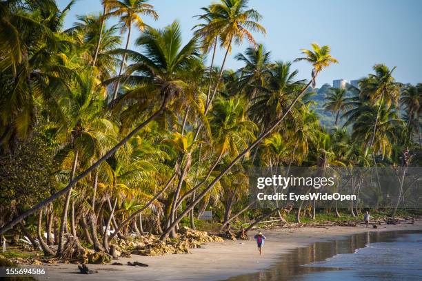 Sandy beach with palmtrees at the eastcoast on October 21, 2012 in Scarborough, Trinidad And Tobago.