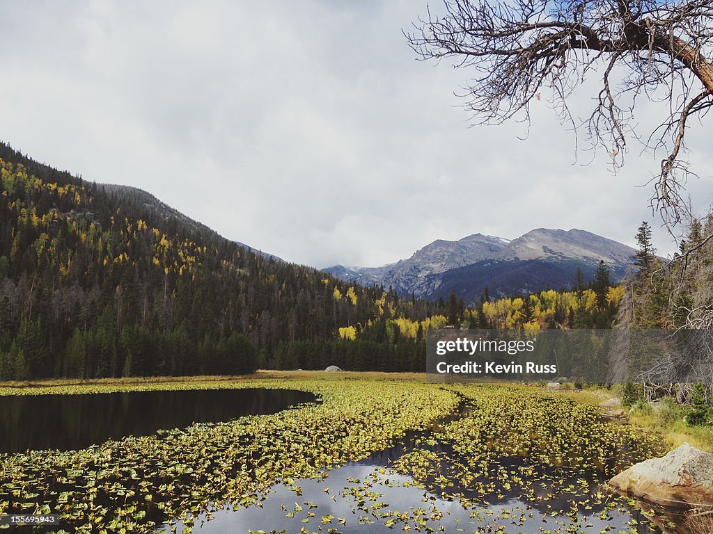 Cub Lake