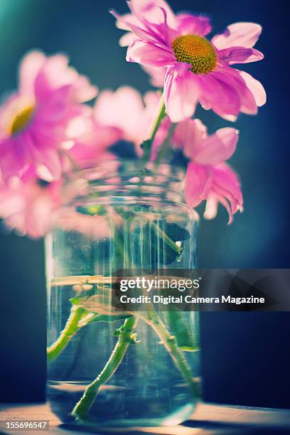 Still life of pink flowers in a jar of water, taken on March 26, 2012.