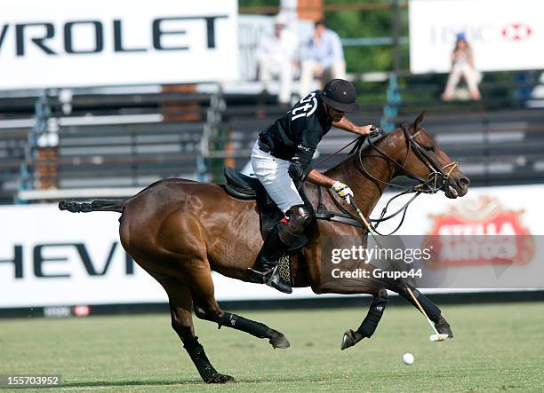 Pieres from Ellerstina in action during a match between Ellerstina and La Natividad as part of the Abierto de Polo de Hurlingham at the Hurlingham...