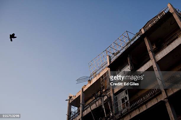 Bird flies by a building damaged by recent artillery fire and fighting near the Salahudeen district on November 3, 2012 in Aleppo, Syria. The Shohada...