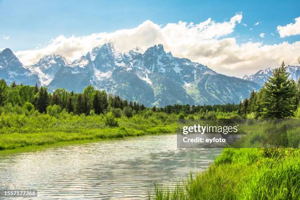 grand teton mountain range and snake river - river snake stock pictures, royalty-free photos & images