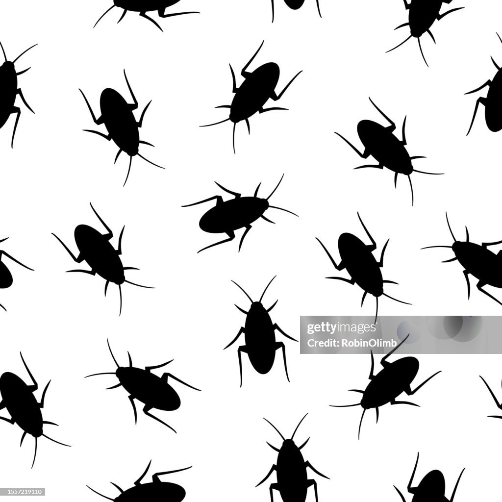 Cockroach Pattern Texture Black Cockroaches Seamless Pattern High-Res Vector Graphic - Getty Images