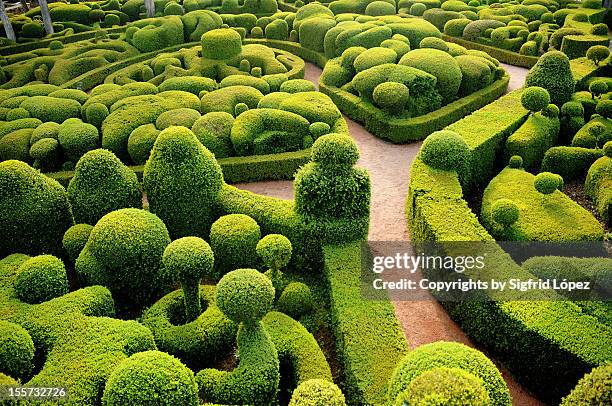 marqueyssac - formal garden stock pictures, royalty-free photos & images