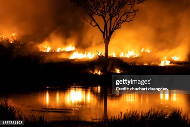forest fires, bushfires with flames, and illuminated smoke clouds from forest burning climate change - apokalypse stock-fotos und bilder