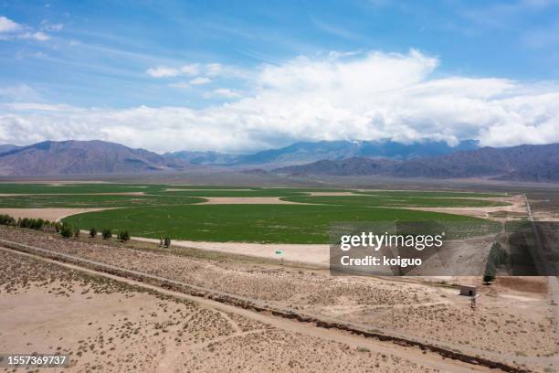 grassland cultivated by artificial irrigation on the plateau - sod field stock pictures, royalty-free photos & images