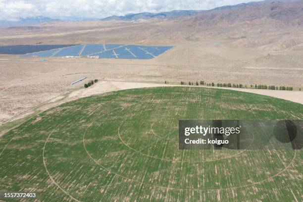 grassland cultivated by artificial irrigation on the plateau - sod field stock pictures, royalty-free photos & images