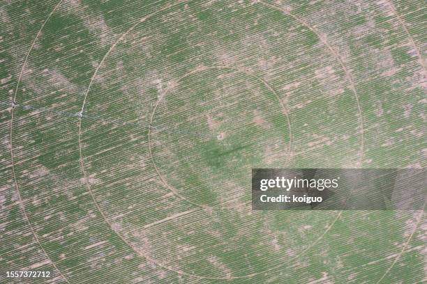 grassland cultivated by artificial irrigation on the plateau - sod field stock pictures, royalty-free photos & images