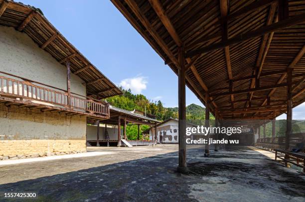 wooden structure corridor - plant cell wall stock pictures, royalty-free photos & images