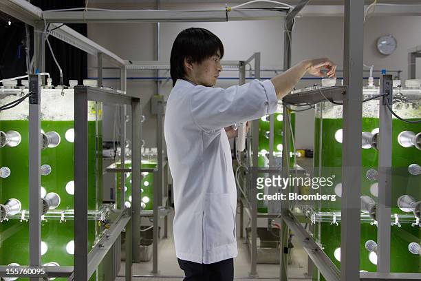 Junji Yamamura, a researcher at IHI NeoG Algae LLC, checks the Enomoto Algae in the IHI NeoG Algae LLC research facility in Yokohama City, Kanagawa...