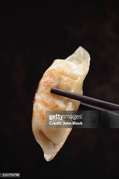 chopsticks holding asian dumpling - gyoza foto e immagini stock