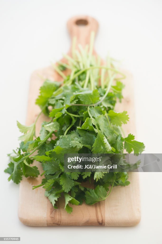 Cilantro on cutting board