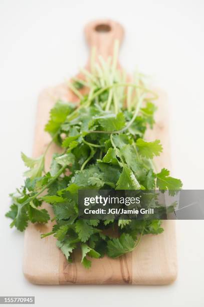 cilantro on cutting board - koriander stockfoto's en -beelden