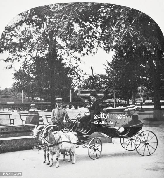 new york city, goat team and carriage, central park, 1871 - central park new york stock illustrations