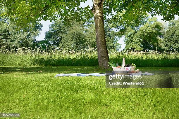 germany, cologne, view of picnic basket in meadow - picnic blanket stockfoto's en -beelden