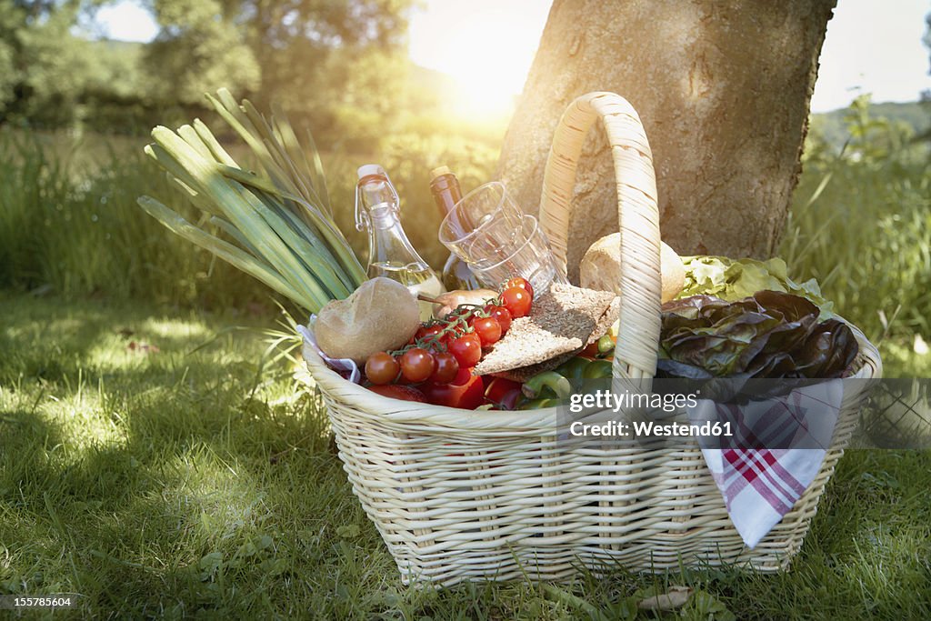 Germany, Cologne, View of picnic basket