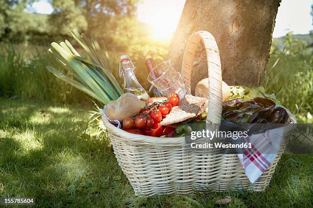 germany, cologne, view of picnic basket - picnic basket stock pictures, royalty-free photos & images