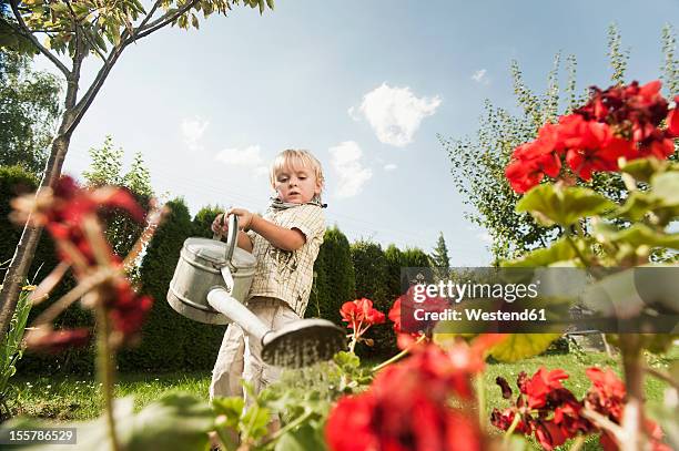 germany, bavaria, boy watering garden flowers - giesskanne stock-fotos und bilder