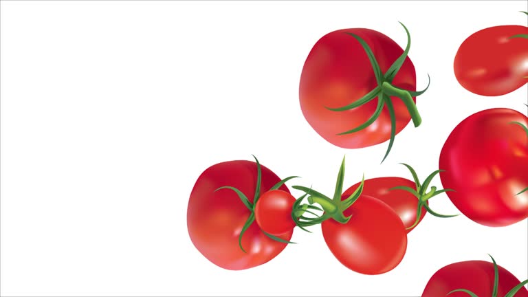 27 Cartoon Tomatoes Videos and HD Footage - Getty Images 27 Cartoon Tomatoes Videos and HD Footage - Getty Images