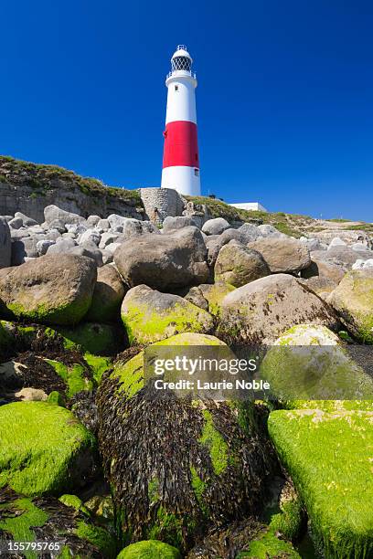 portland bill lighthouse, dorset, england - insel portland england stock-fotos und bilder