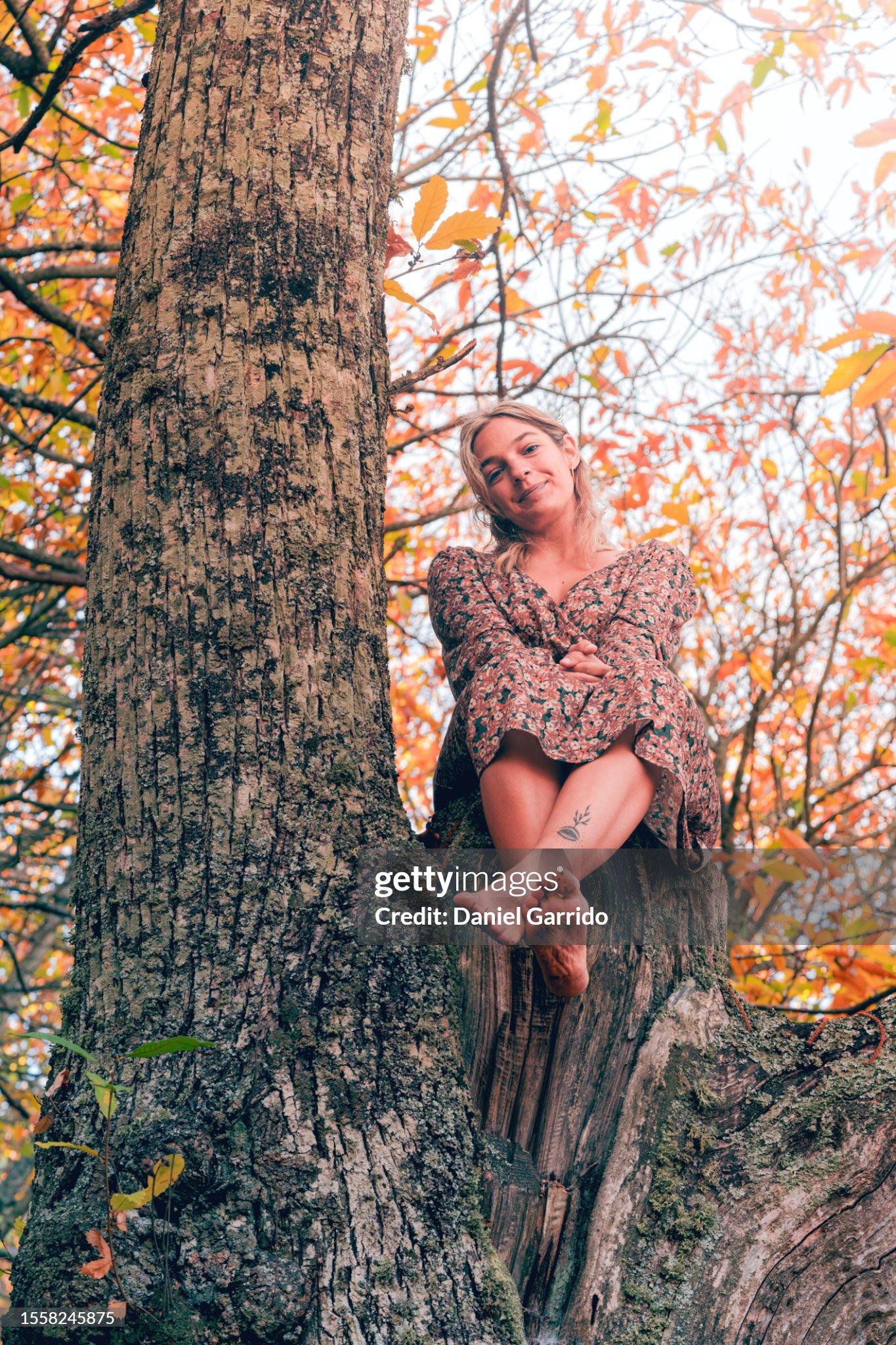 https://media.gettyimages.com/id/1558245875/photo/a-girl-in-an-autumnal-dress-on-a-chestnut-trunk-barefoot-in-autumn.jpg?s=2048x2048&amp;w=gi&amp;k=20&amp;c=YIdLyxzlb96BbFa8CaMJiJlm4obFF_TZxH1fqIGlY-g=