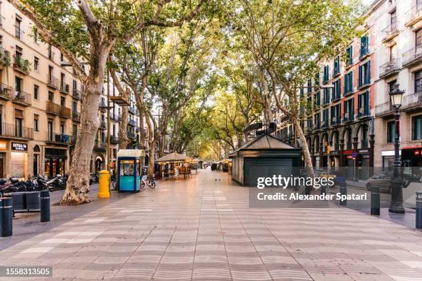 empty la rambla street on a sunny morning, barcelona, spain - pedestrian zone stock pictures, royalty-free photos & images