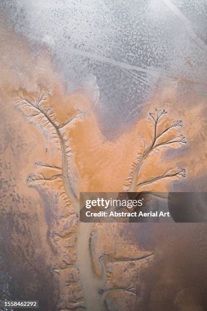 fitzroy river delta photographed from a drone point of view, derby, western australia, australia - mud riverbed stock pictures, royalty-free photos & images