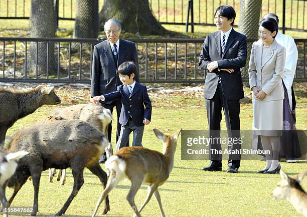 Prince Hisahito pats a deer while Prince Akishino and Princess Kiko watch during the Shikayose, heading deers by blowing horn, at Tobihino Field of...