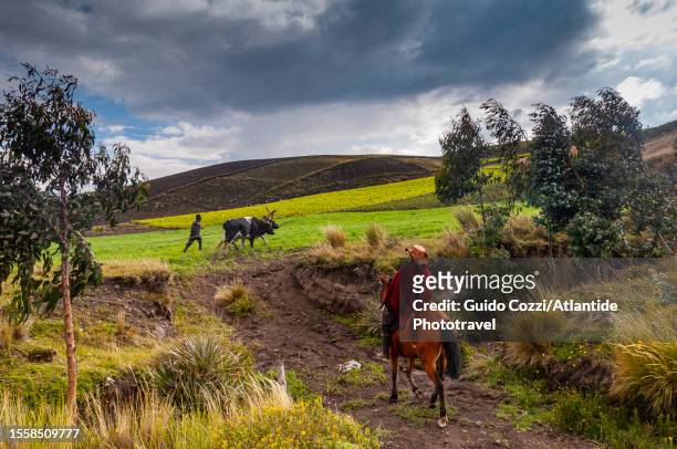 ecuador, rural landscape near chimborazo mount - cowboy v till stock pictures, royalty-free photos & images