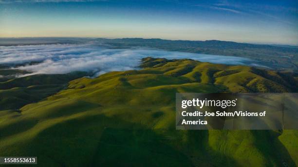 Rolling green spring hills in the County of San Luis Obisbo, California at sunrise with morning fog.
