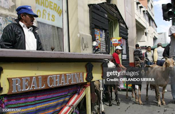 Mateo Toj, un indígena de Santa Cruz del Quiche, se apresta a tocar la marimba, instrumento musical autóctono de Guatemala, en el centro histórico de...