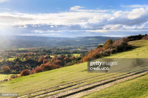 Lone bench on grass slopes at Colley Hill in Reigate with views of Surrey Hills countryside in autumn along the North Downs Way. Surrey, England, UK.