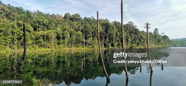 scenic view of lake against sky,selangor,malaysia - estado de selangor fotografías e imágenes de stock