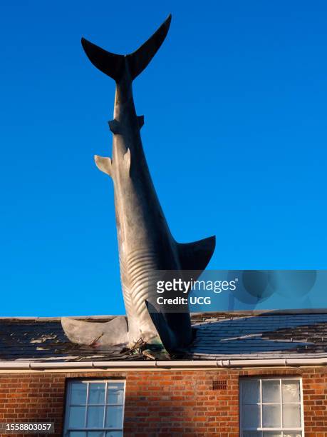 The Headington Shark on a winter morning, Oxford.