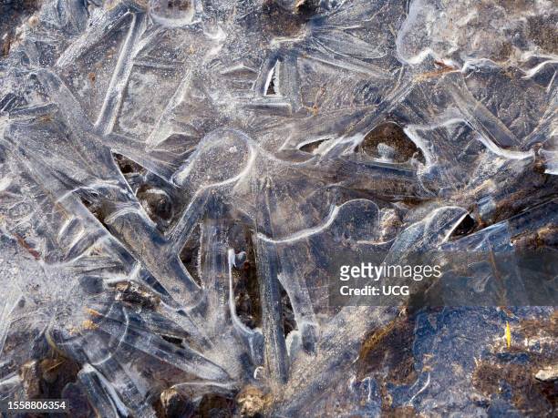 Abstract shapes in an icy pond, Lower Radley Village.