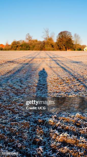 Shadow of an electricity pylon and the photographer in a field in Radley, winter sunrise.