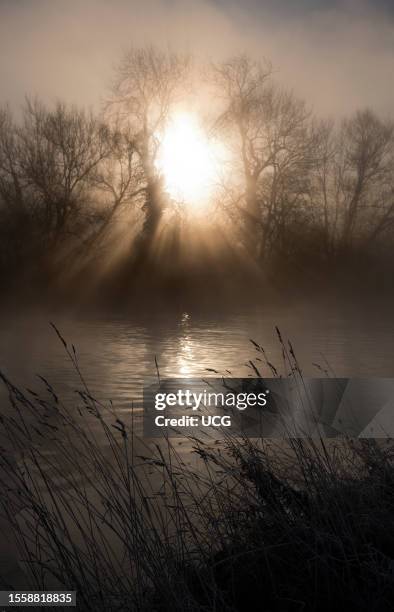 Winter sunrise over the Thames by Radley Boathouse.